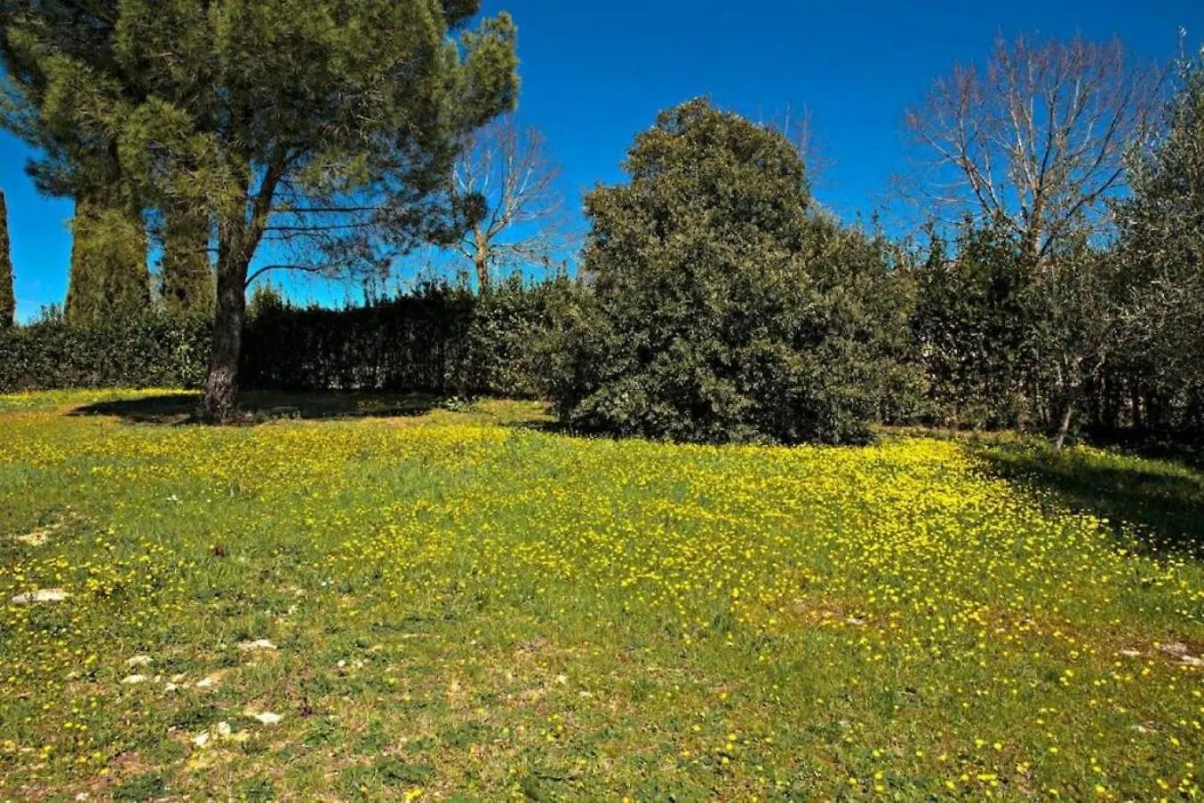 카이오레인챠안티 Chianti House 빌라